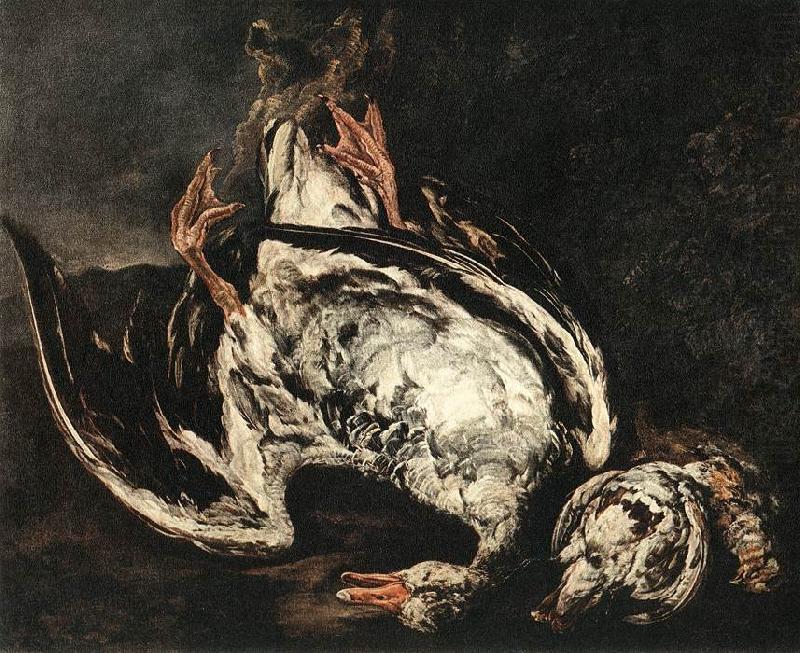 BOEL, Pieter Still-Life with Dead Wild-Duck gfh china oil painting image